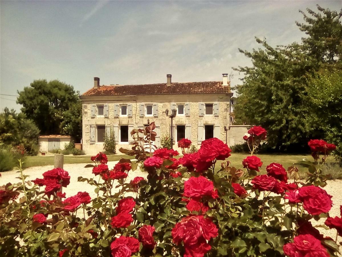 Bed and Breakfast Maison Lavande Saint-Jean-dʼAngély Exteriér fotografie